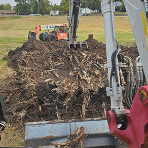 Stump Removal