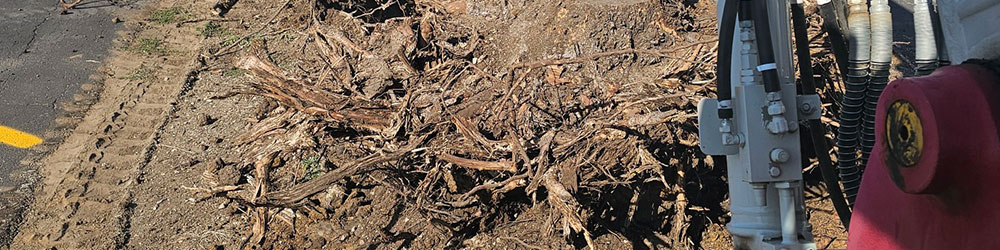 Tree Stump Removal